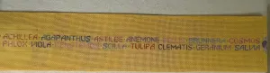 * Studio Midwest B20 Flower Word Belt- Yellow