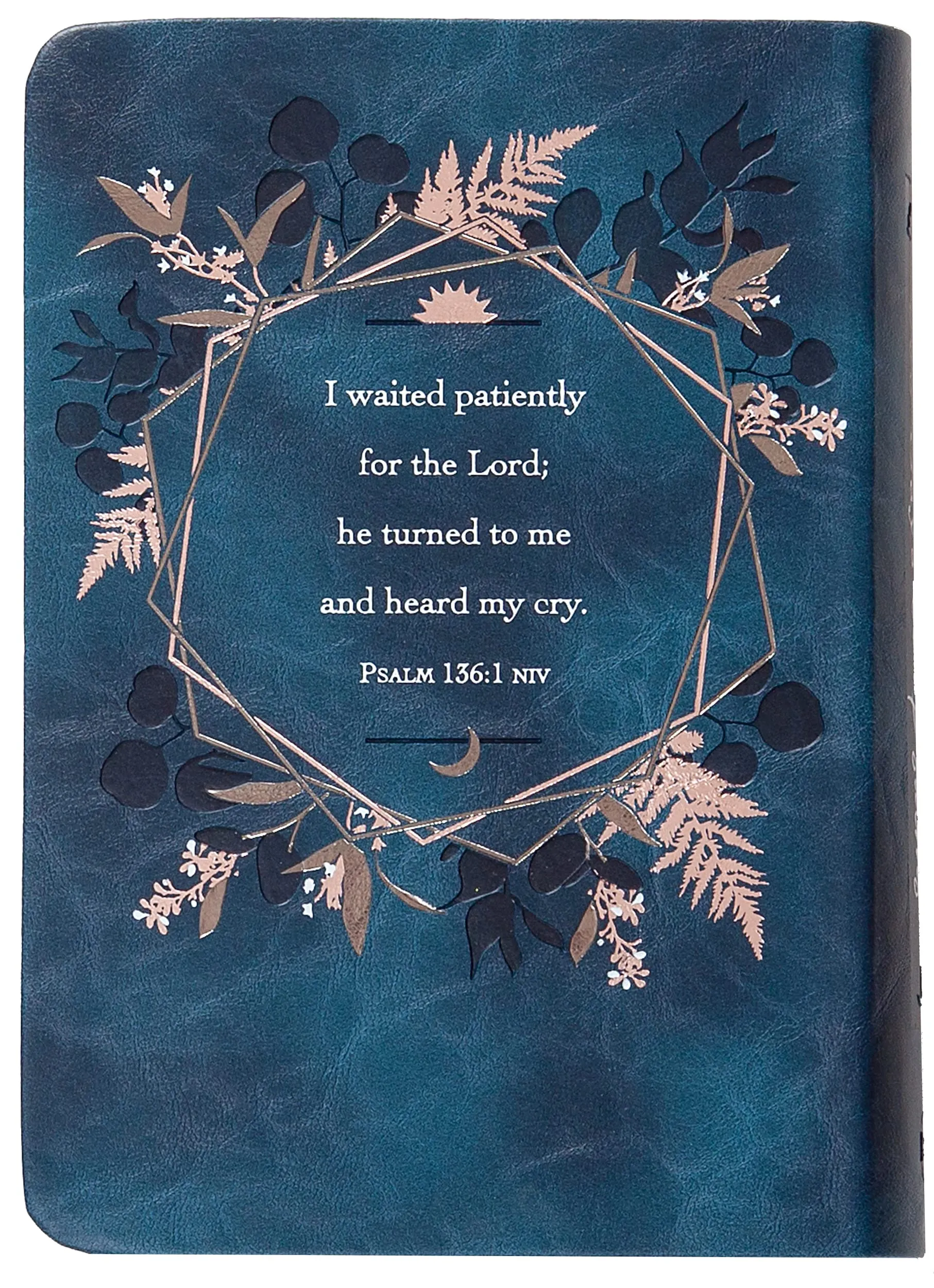 365 Days of Psalms