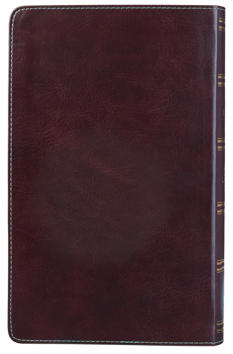 Brown and Turquoise Faux Leather Bible