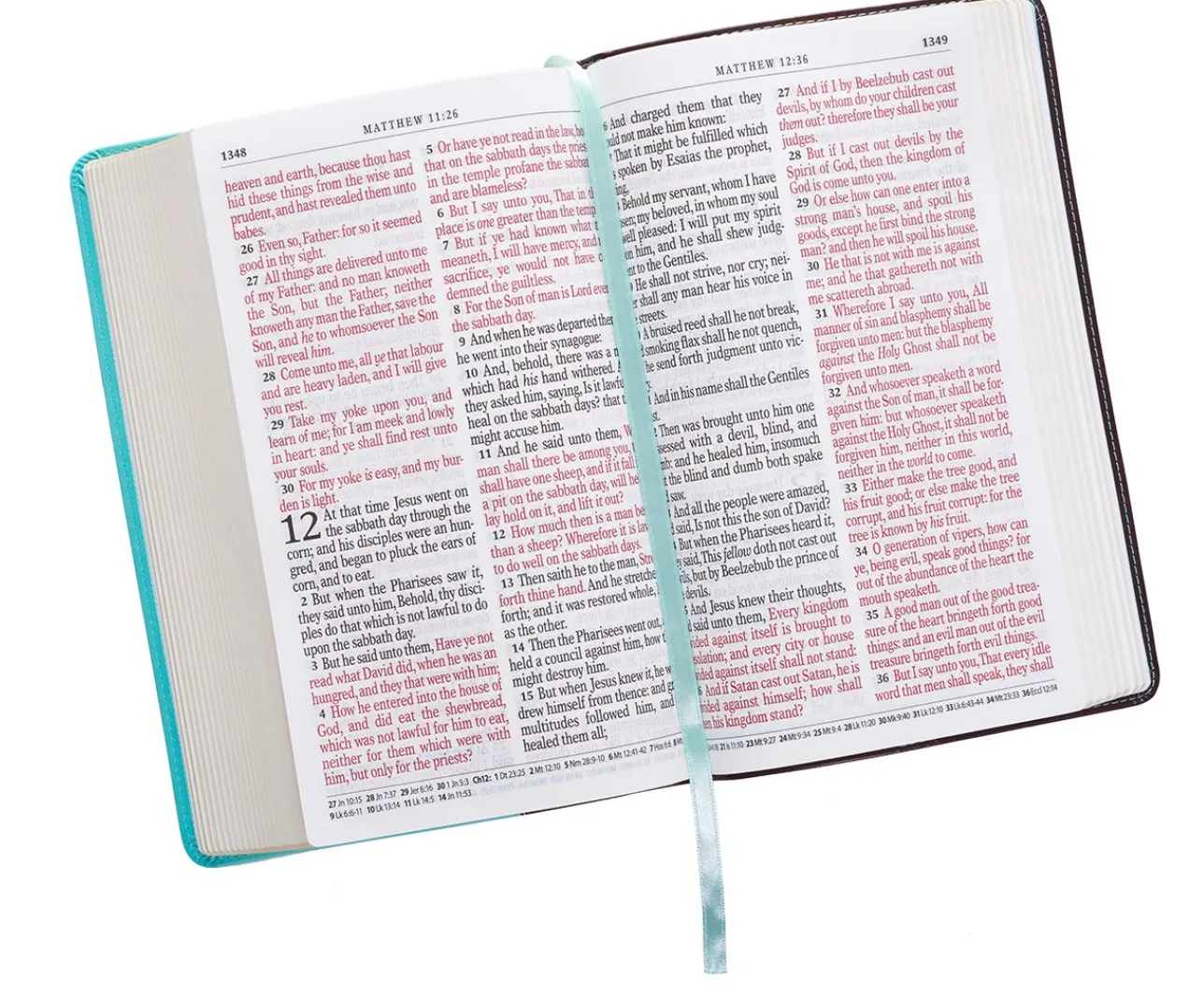 Brown and Turquoise Faux Leather Bible
