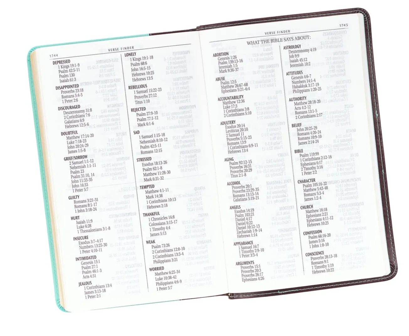 Brown and Turquoise Faux Leather Bible