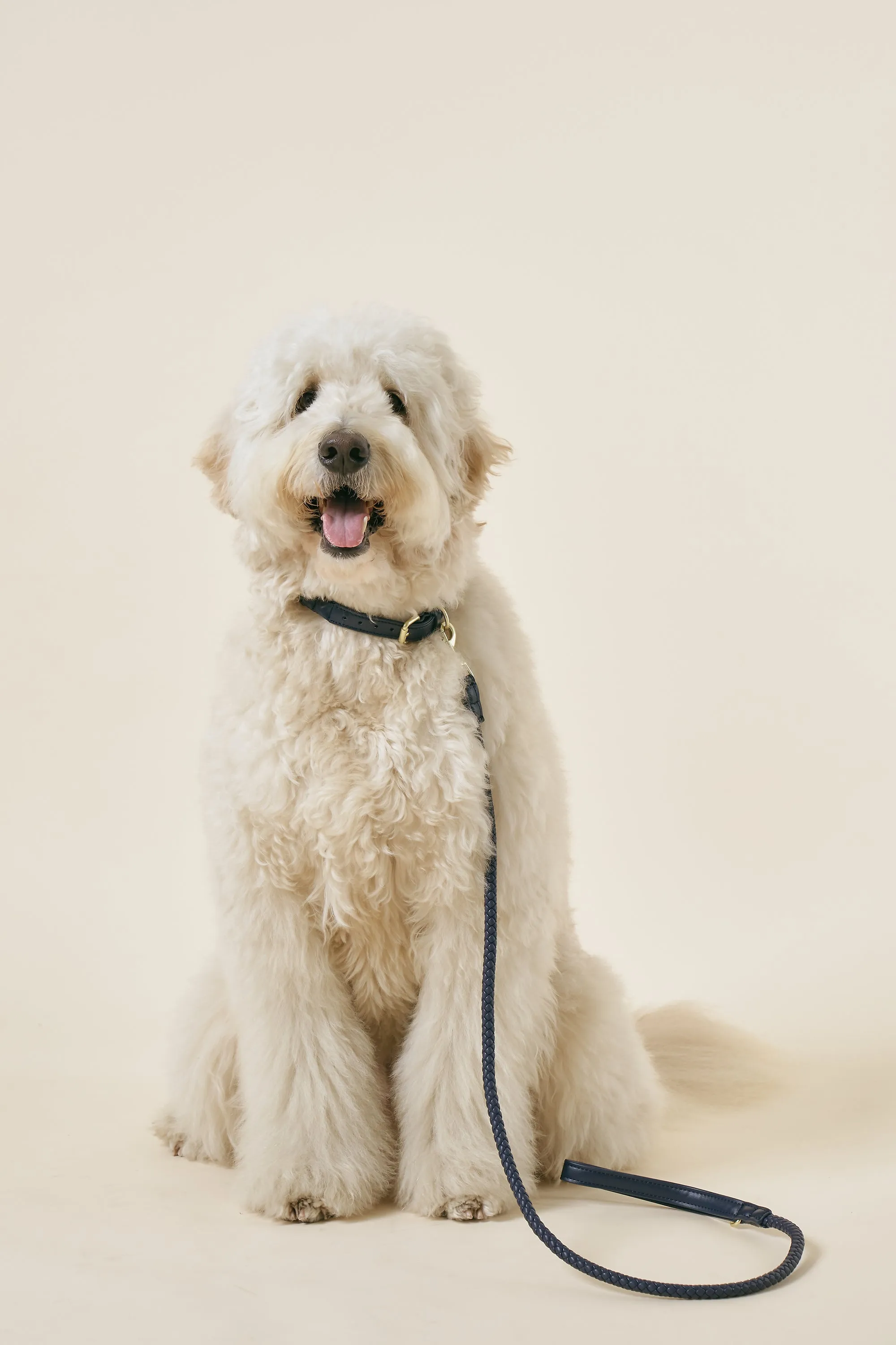 [COSONNE] Braided Neck Collar(for pet)