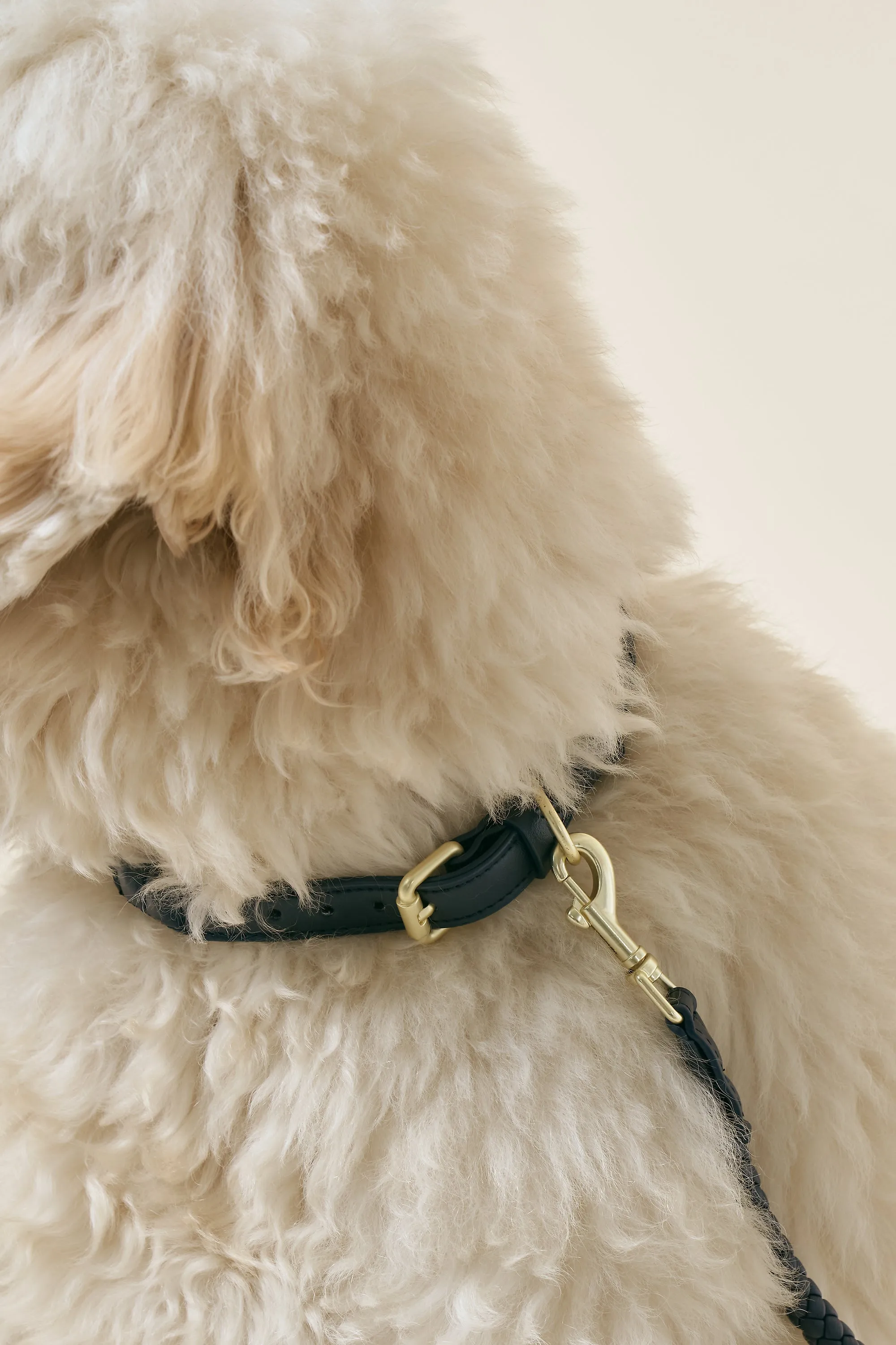[COSONNE] Braided Neck Collar(for pet)