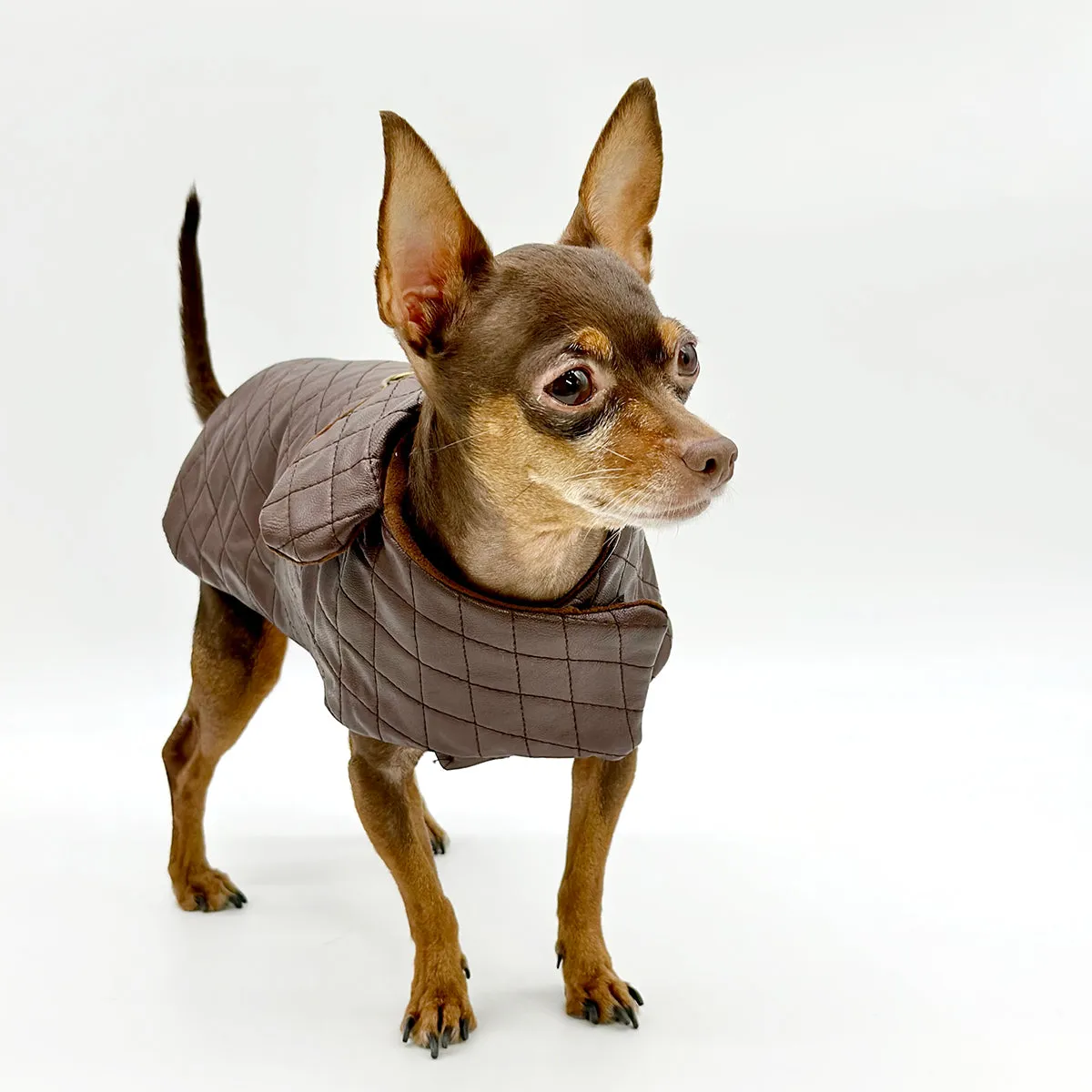 DCNY Quilted Vegan Chocolate Leather Coat