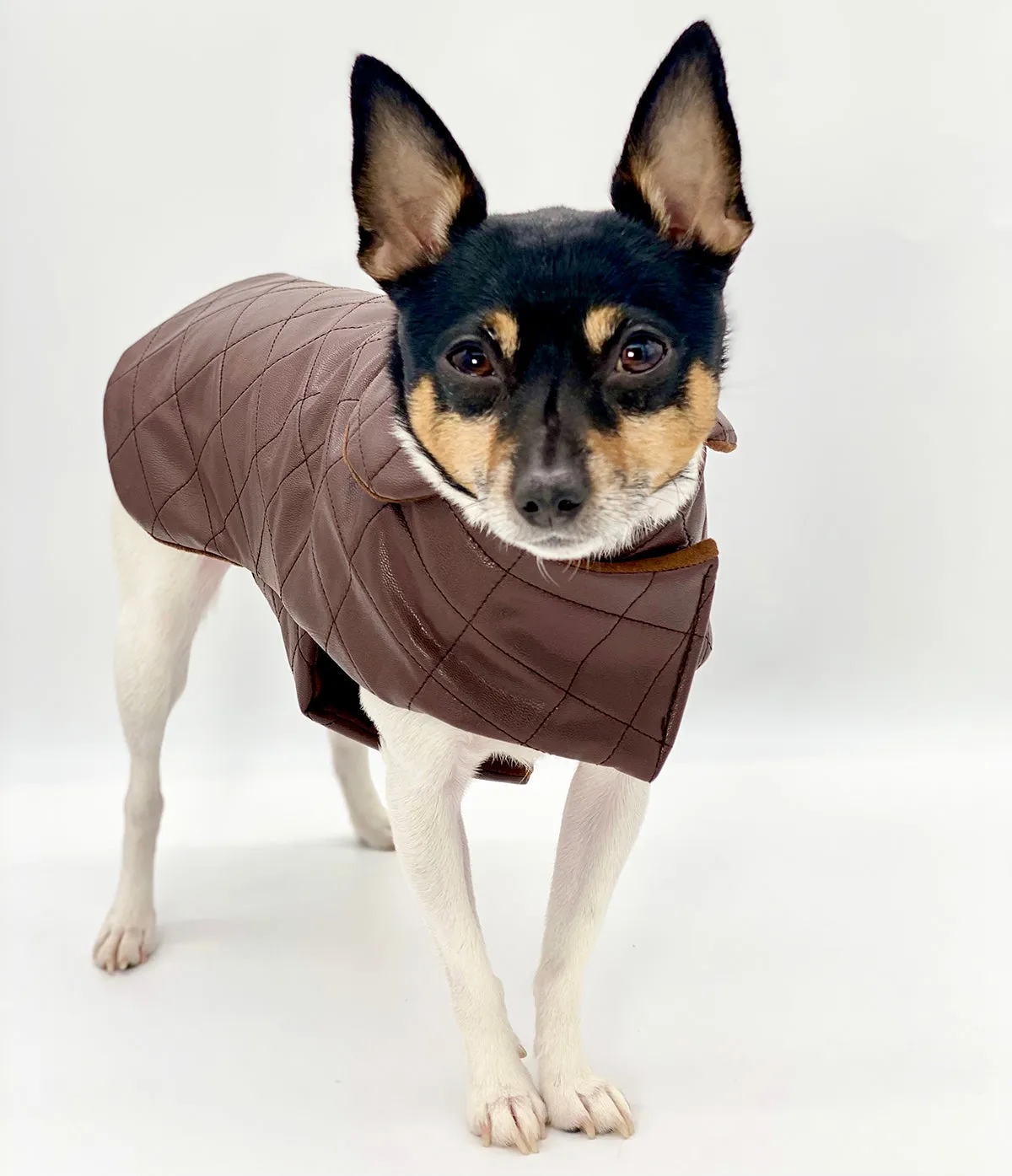 DCNY Quilted Vegan Chocolate Leather Coat