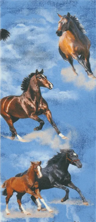 Denim Horses Tweener Knee Highs