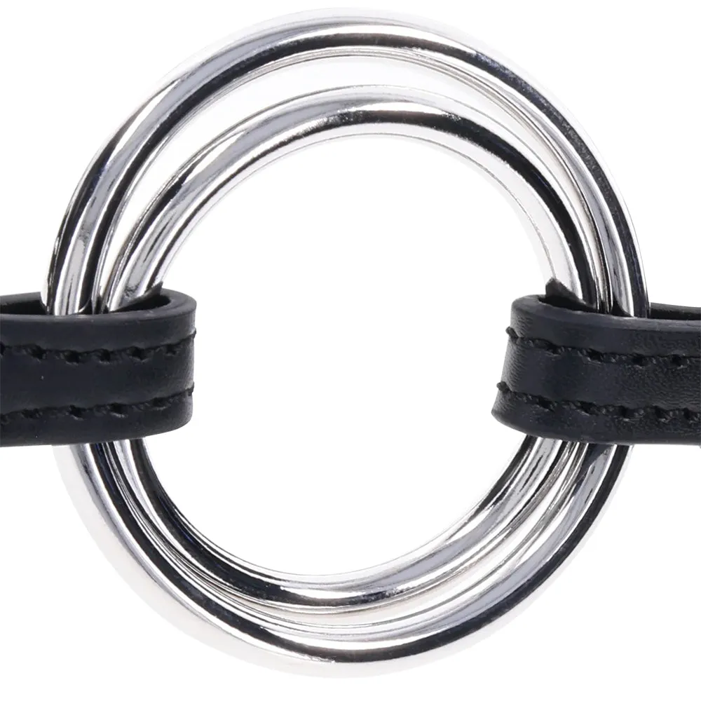 Edge Interchangable Ring Gag
