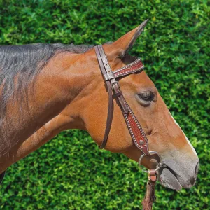 Ezy Ride Bridle Shaped Brow with Dots and Stamping Dark Brown