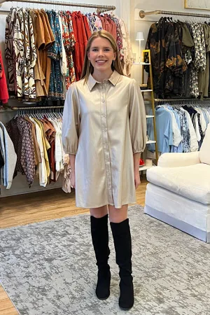 FINAL SALE: Faux Leather Dress in Champagne