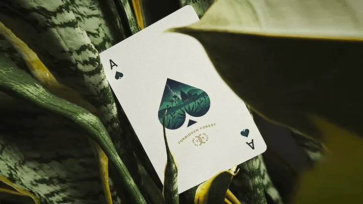 Forbidden Forest Playing Cards