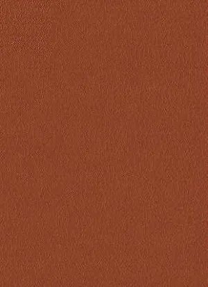 Fortune-24