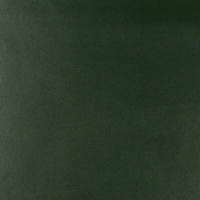 Frankel-30