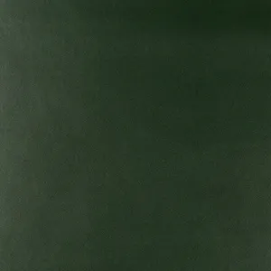 Frankel-30