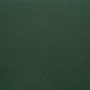 Gato-303