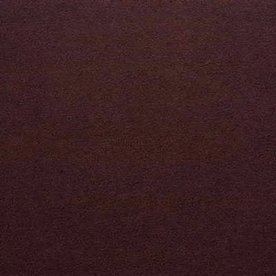 Genslar-10