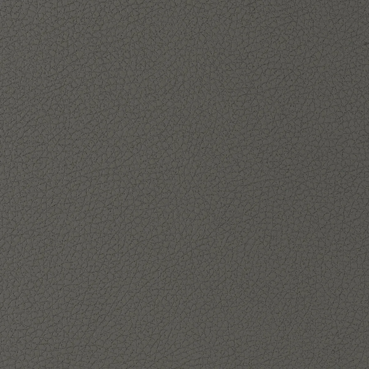 Genslar-21