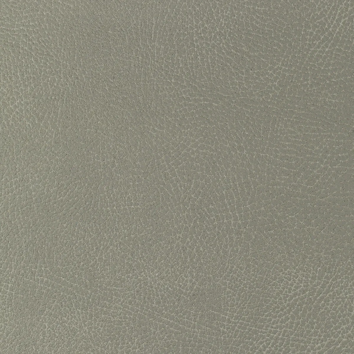 Glendale-1121