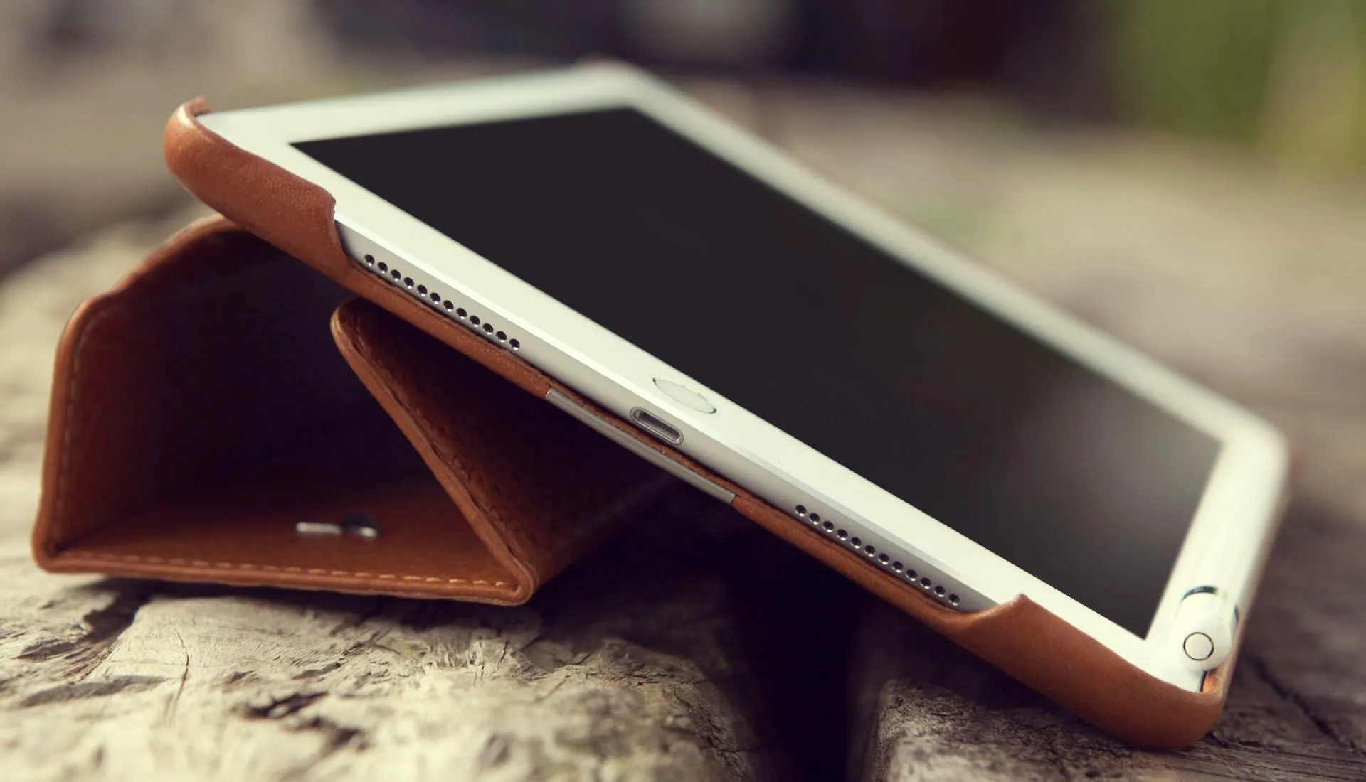 iPad Pro 9.7'' Detachable Libretto Leather Case