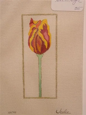 Ivory Tulip Slim
