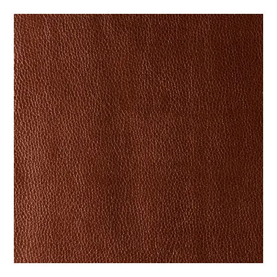 Kerinci-Cinnamon