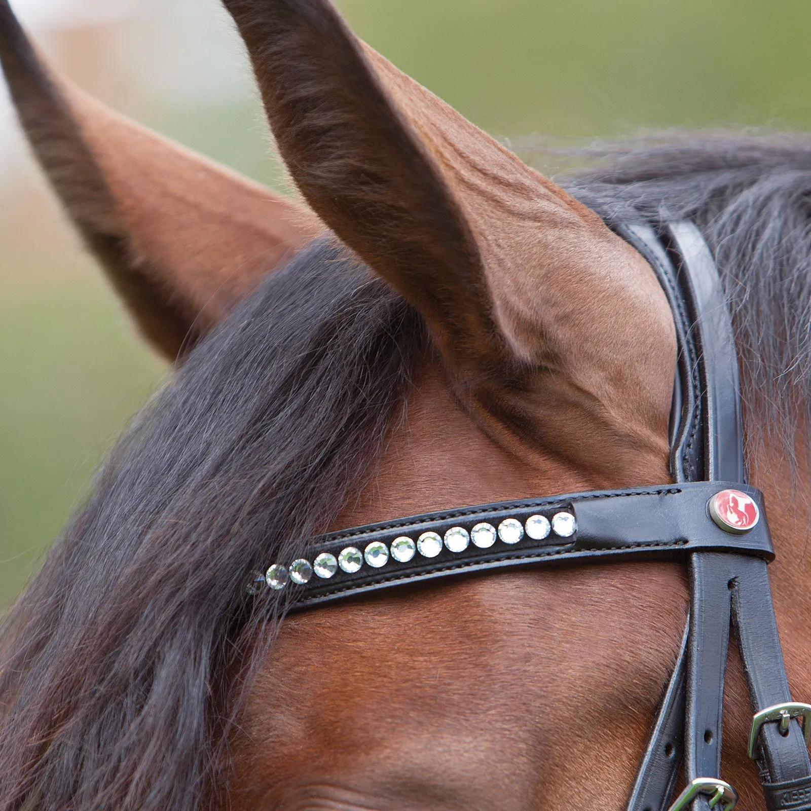 Kieffer Magic Tack Single Row Double Bridle