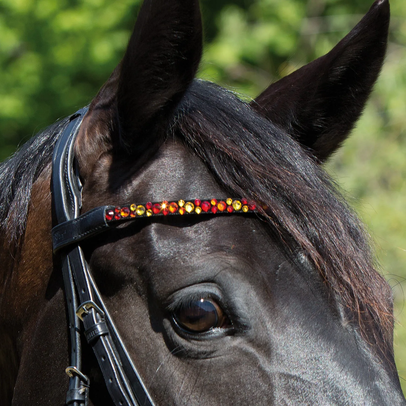 Kieffer Magic Tack Wave Snaffle Bridle