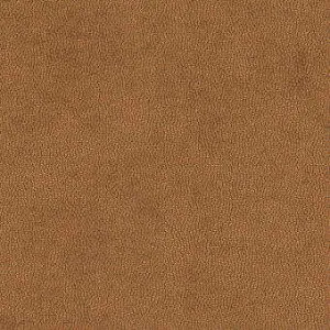 Litestar-Copper