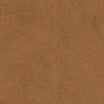 Litestar-Copper