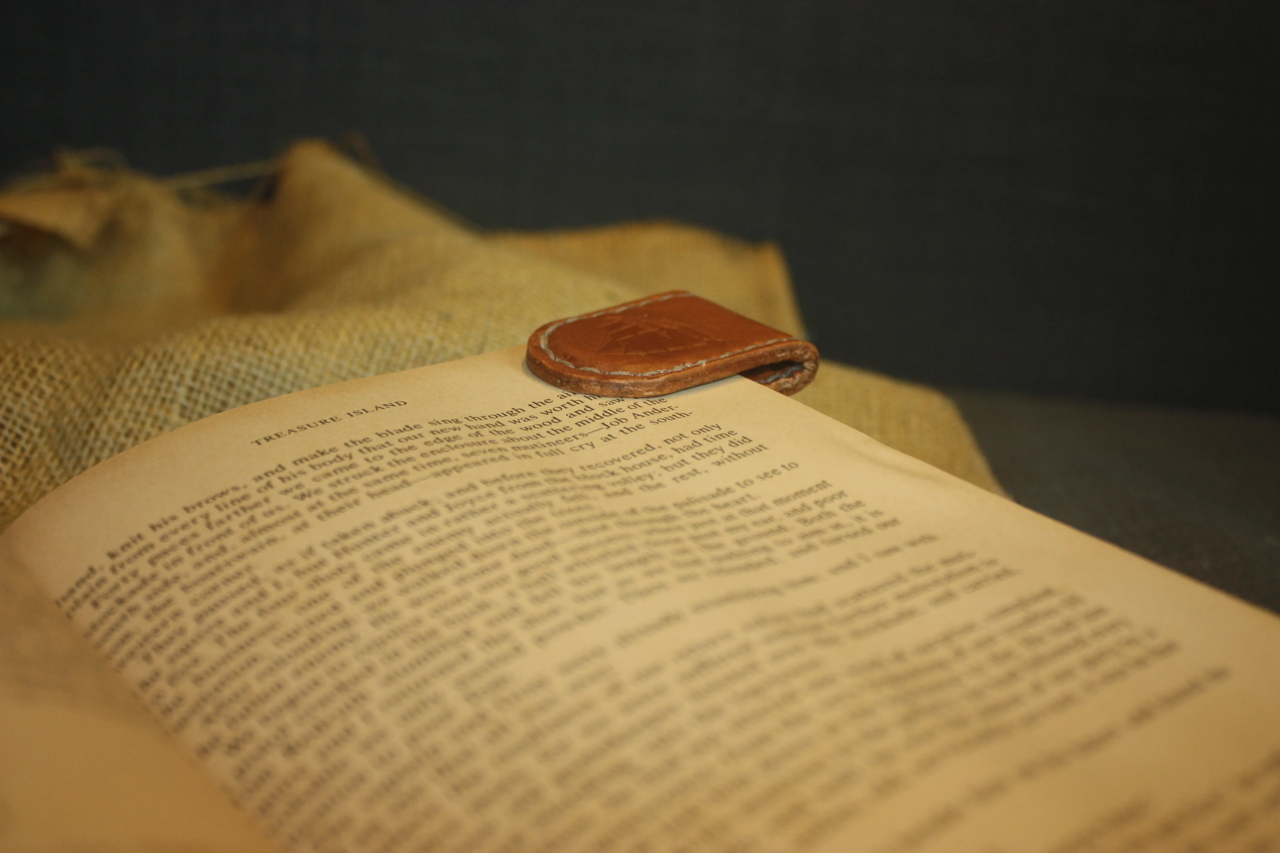 Magnetic Bookmark
