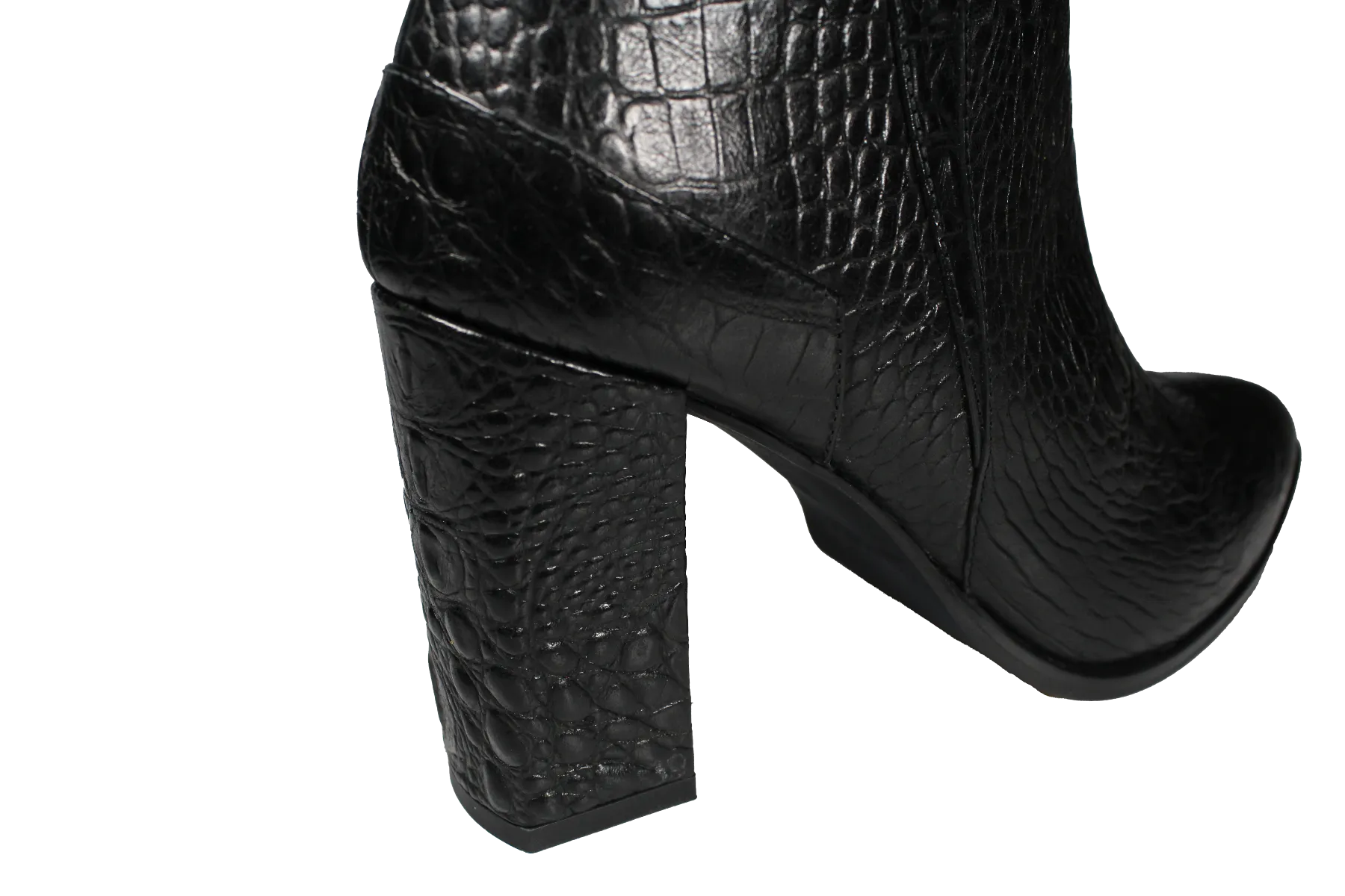 Melanosuchus Niger