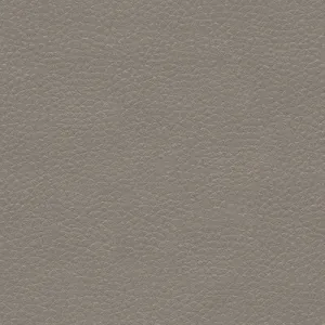Metaliskin-Pewter