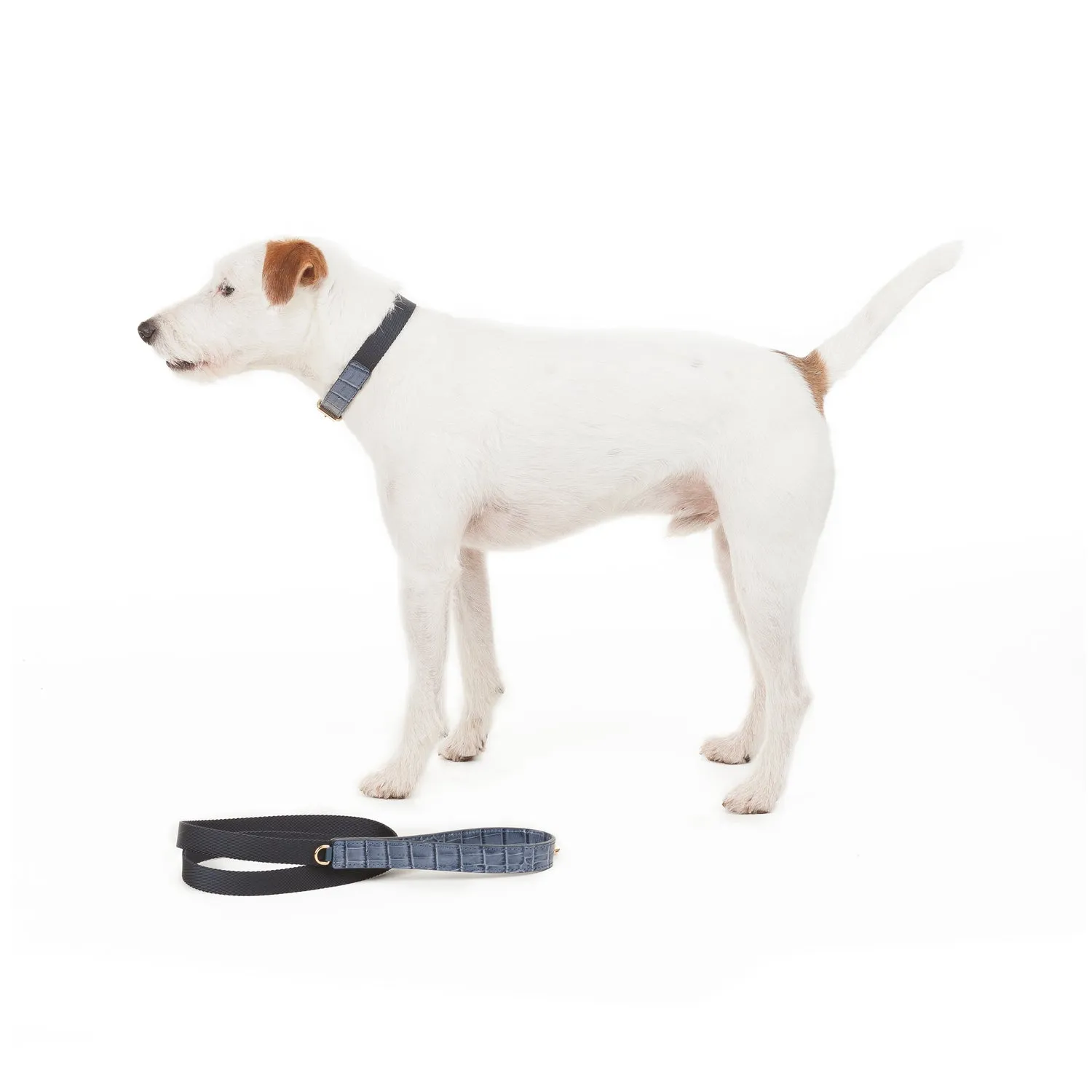Nile Dog Collar