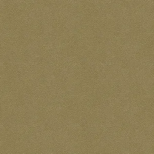 Pietra-11