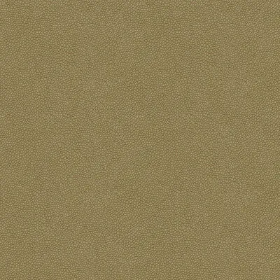 Pietra-11