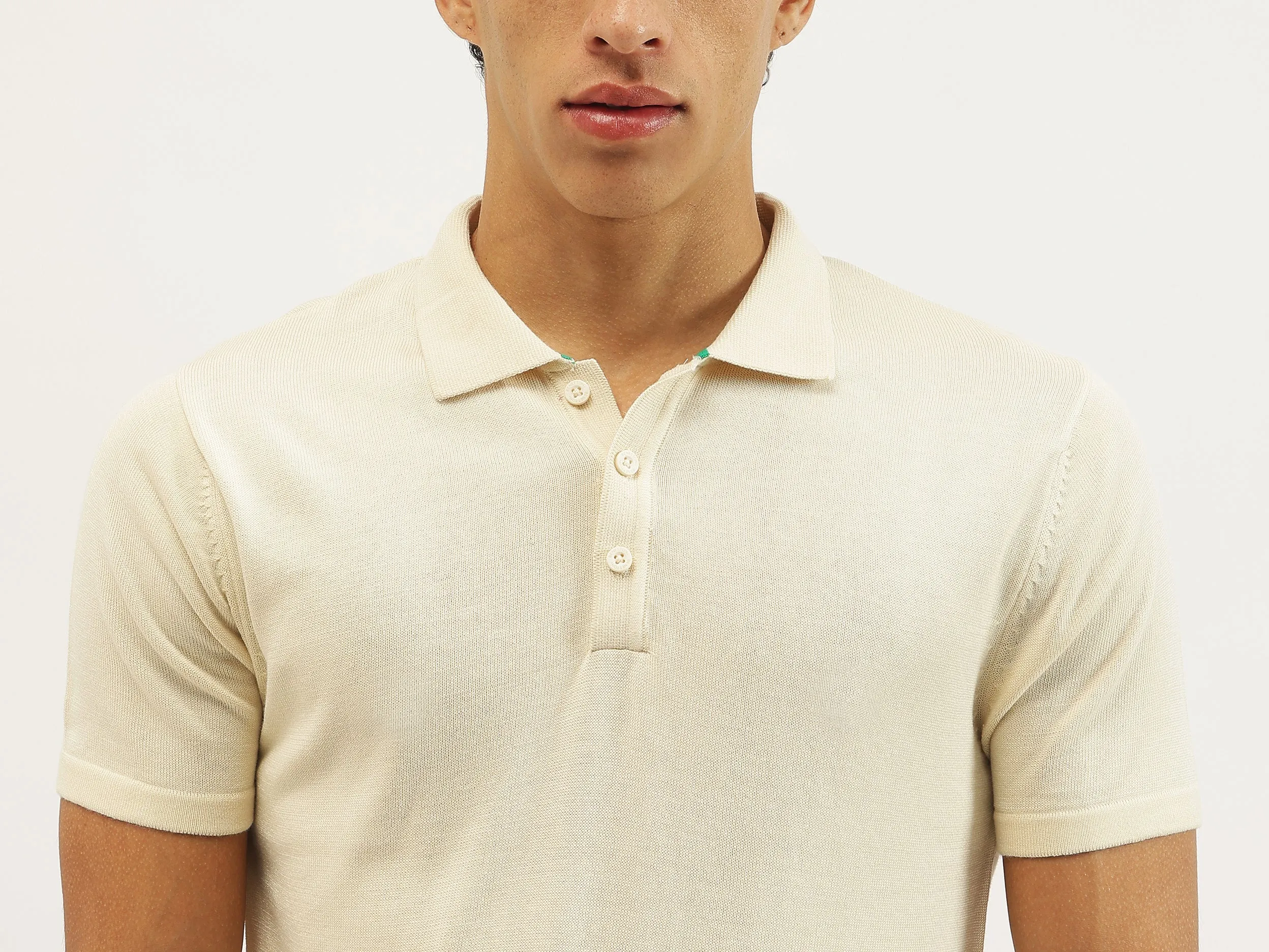 Regular Fit Polo Neck Solid T-shirt