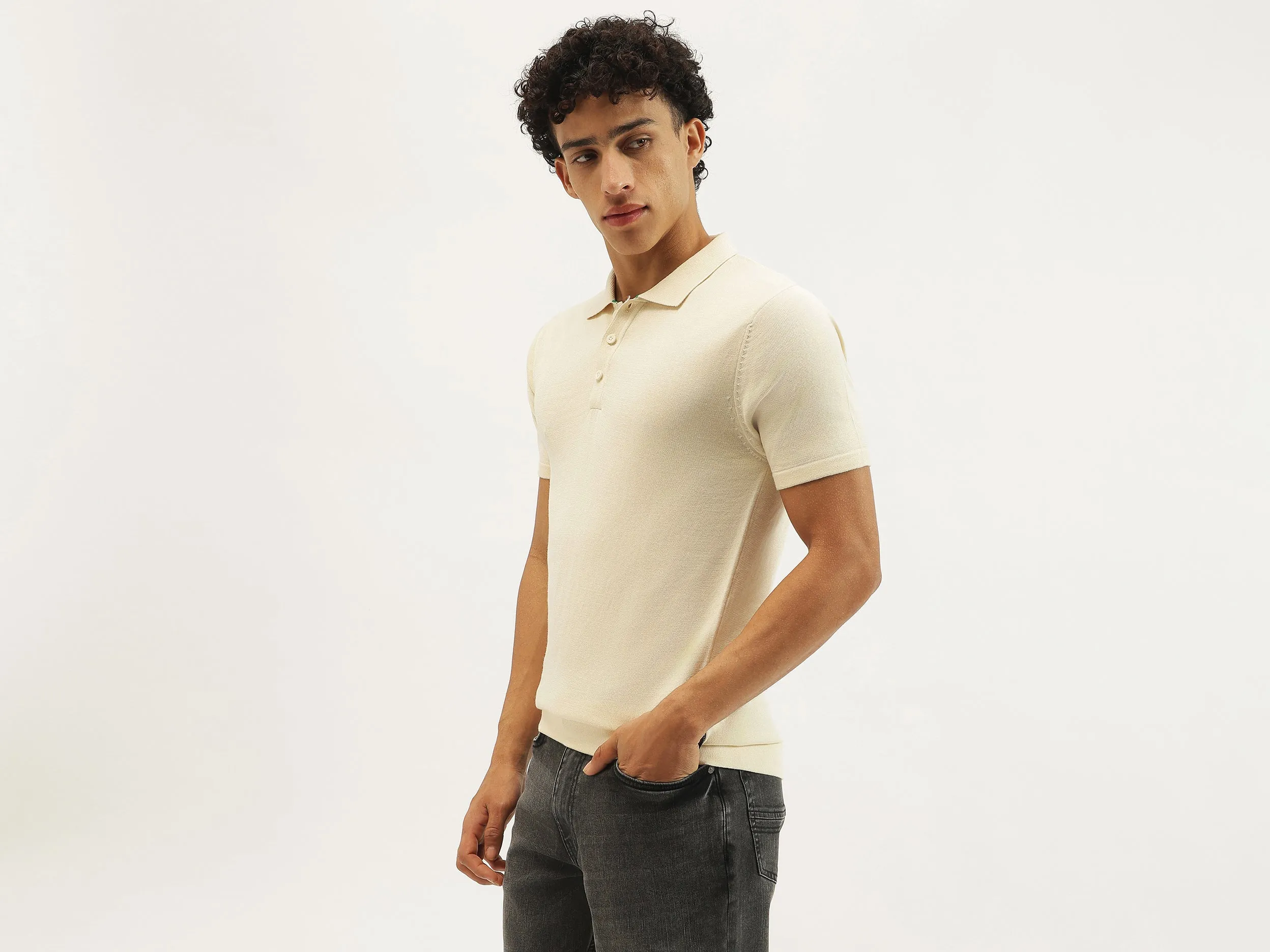 Regular Fit Polo Neck Solid T-shirt
