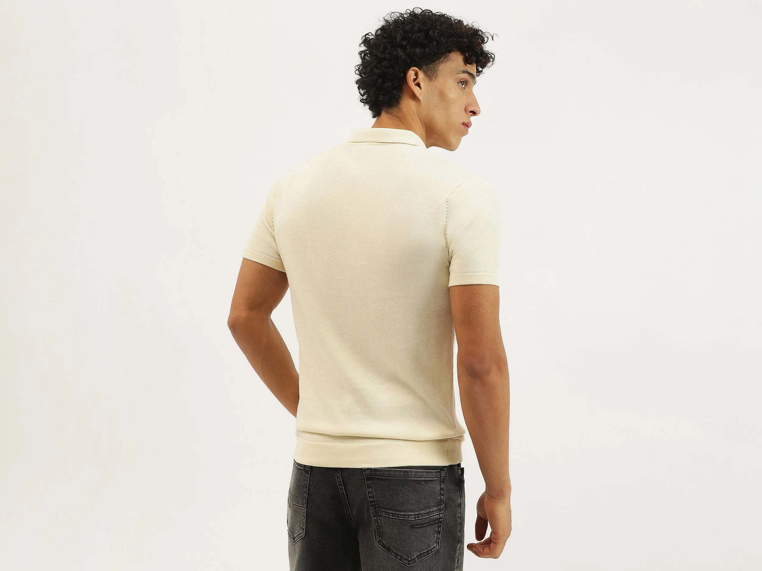 Regular Fit Polo Neck Solid T-shirt
