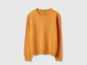 Regular Fit Round Neck Solid Sweater