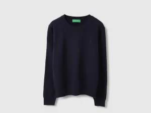Regular Fit Round Neck Solid Sweater