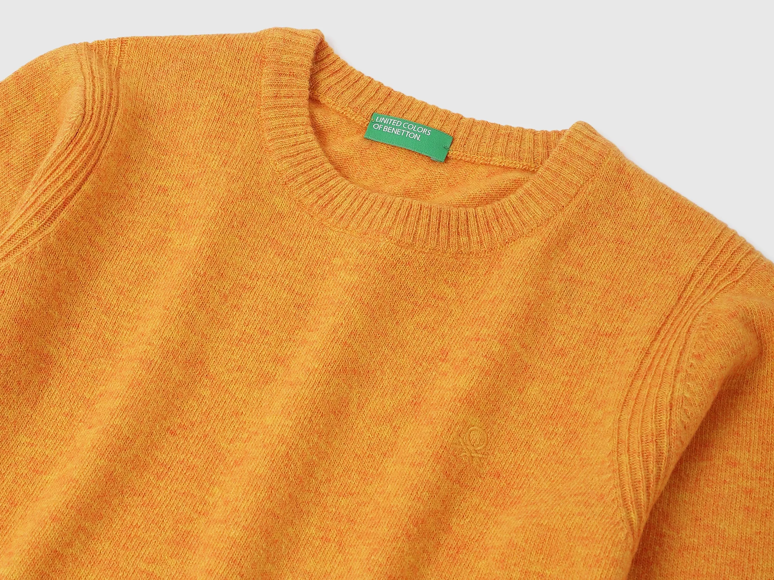 Regular Fit Round Neck Solid Sweater