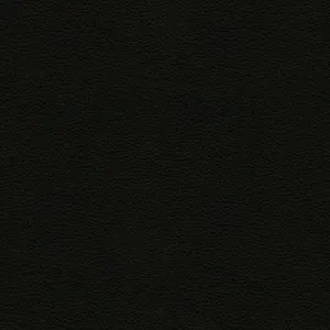 Rigel-8