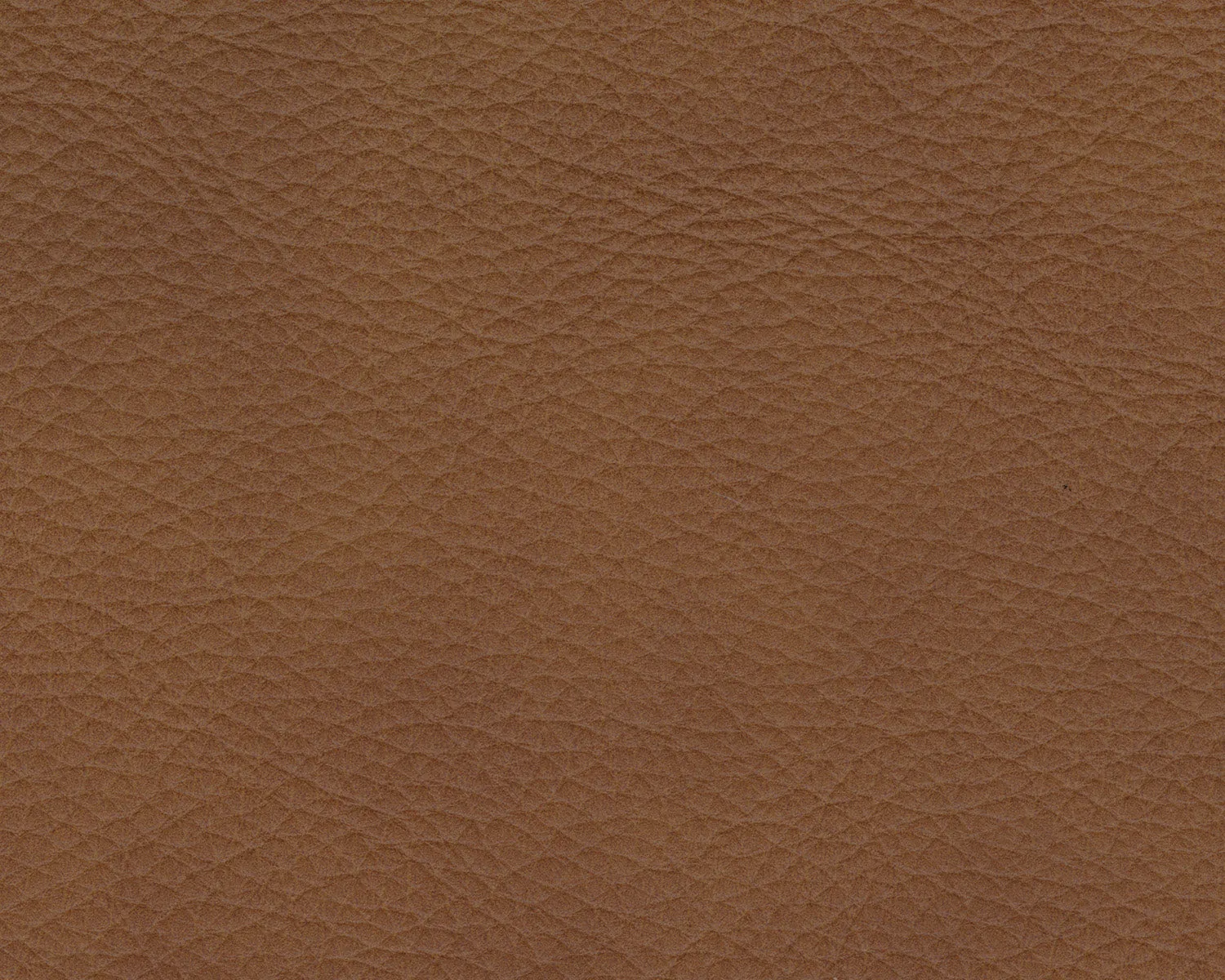 Rylee Leather Armless Chair