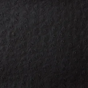 Senna-8