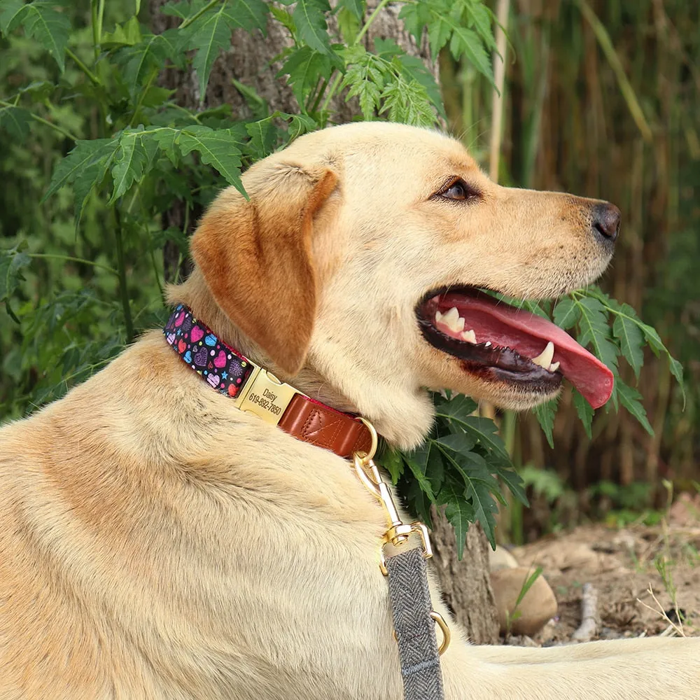 Shades Of PU Leather Collars: Personalized