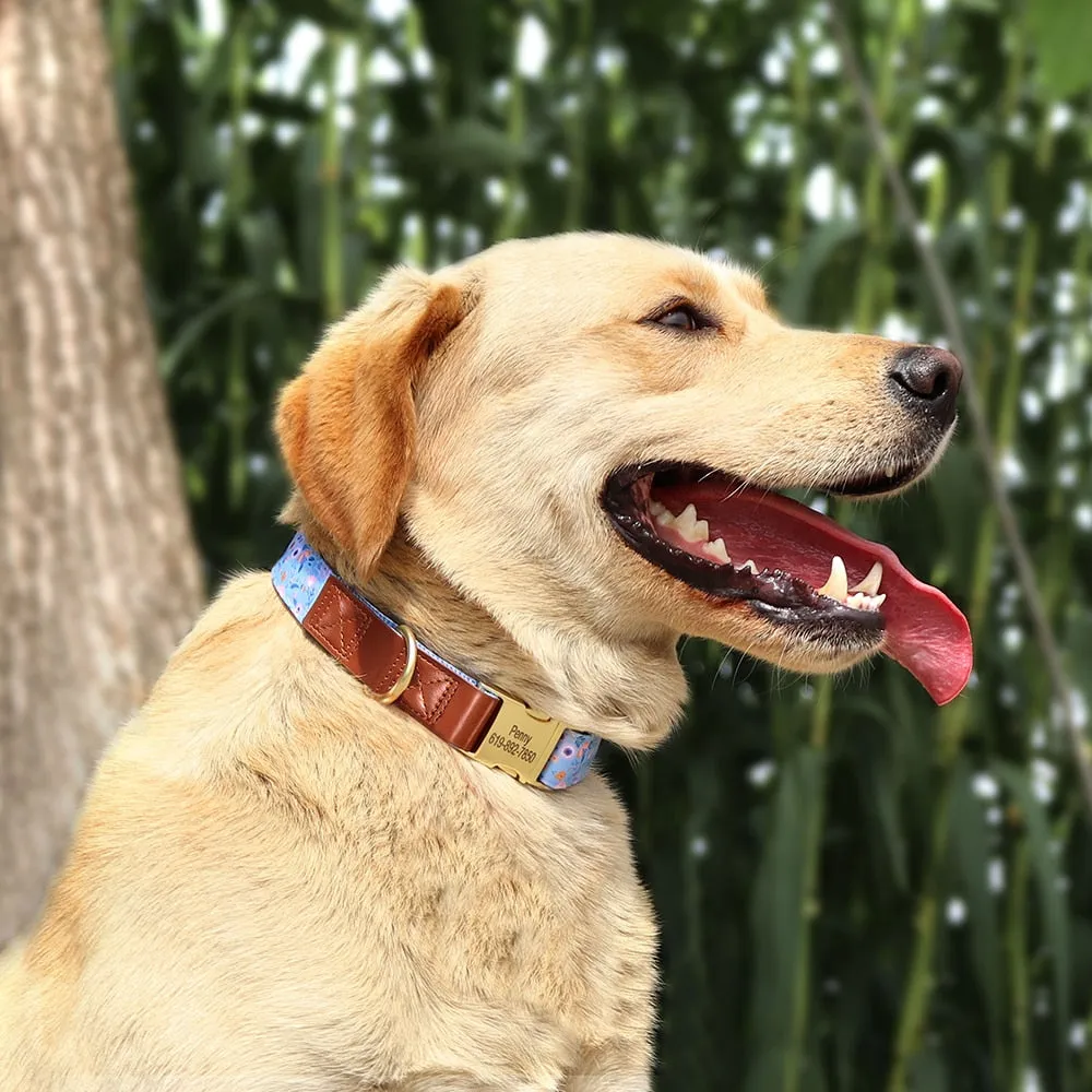 Shades Of PU Leather Collars: Personalized