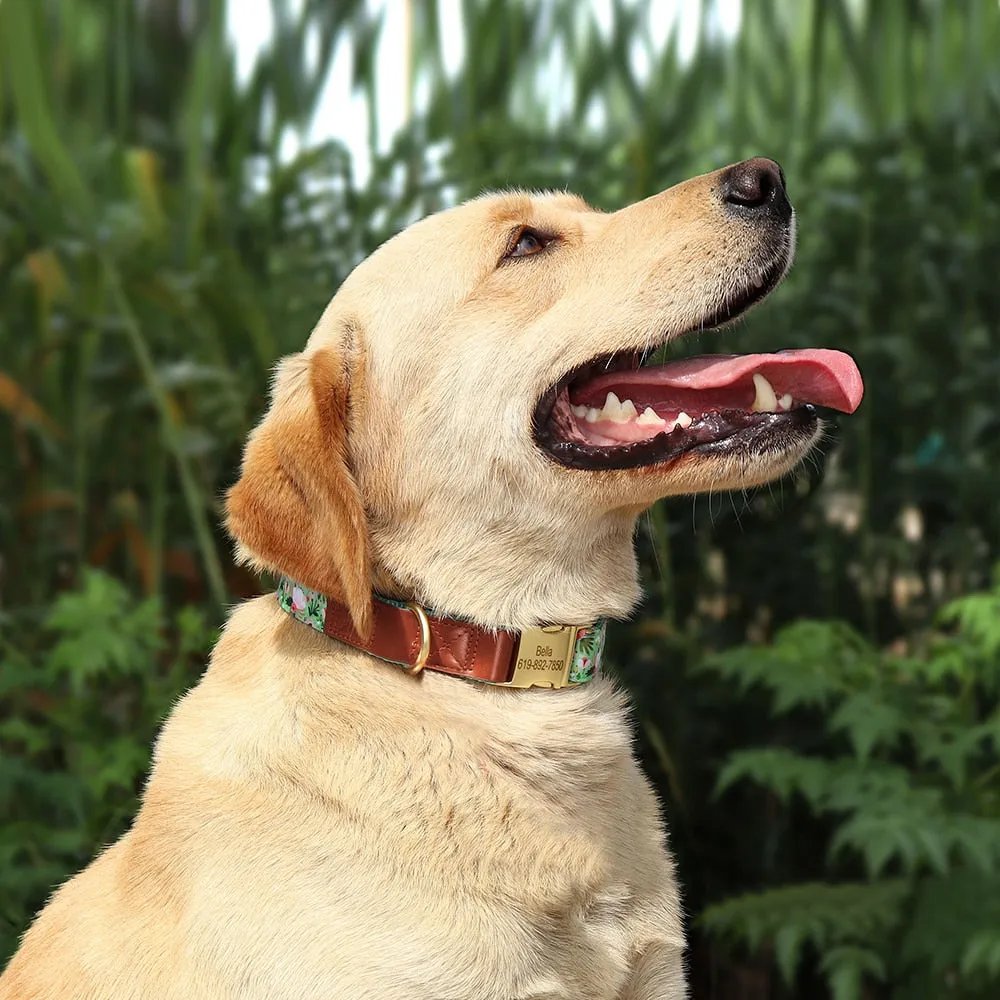 Shades Of PU Leather Collars: Personalized