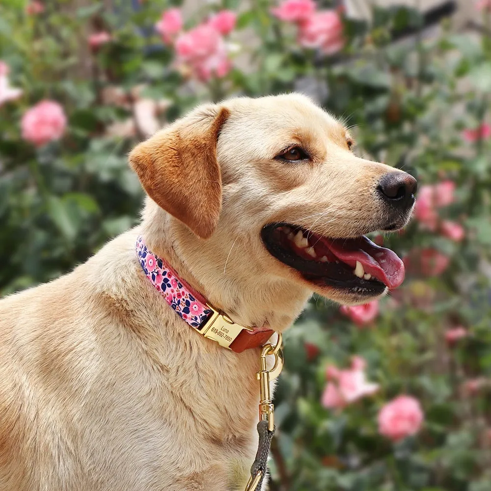 Shades Of PU Leather Collars: Personalized