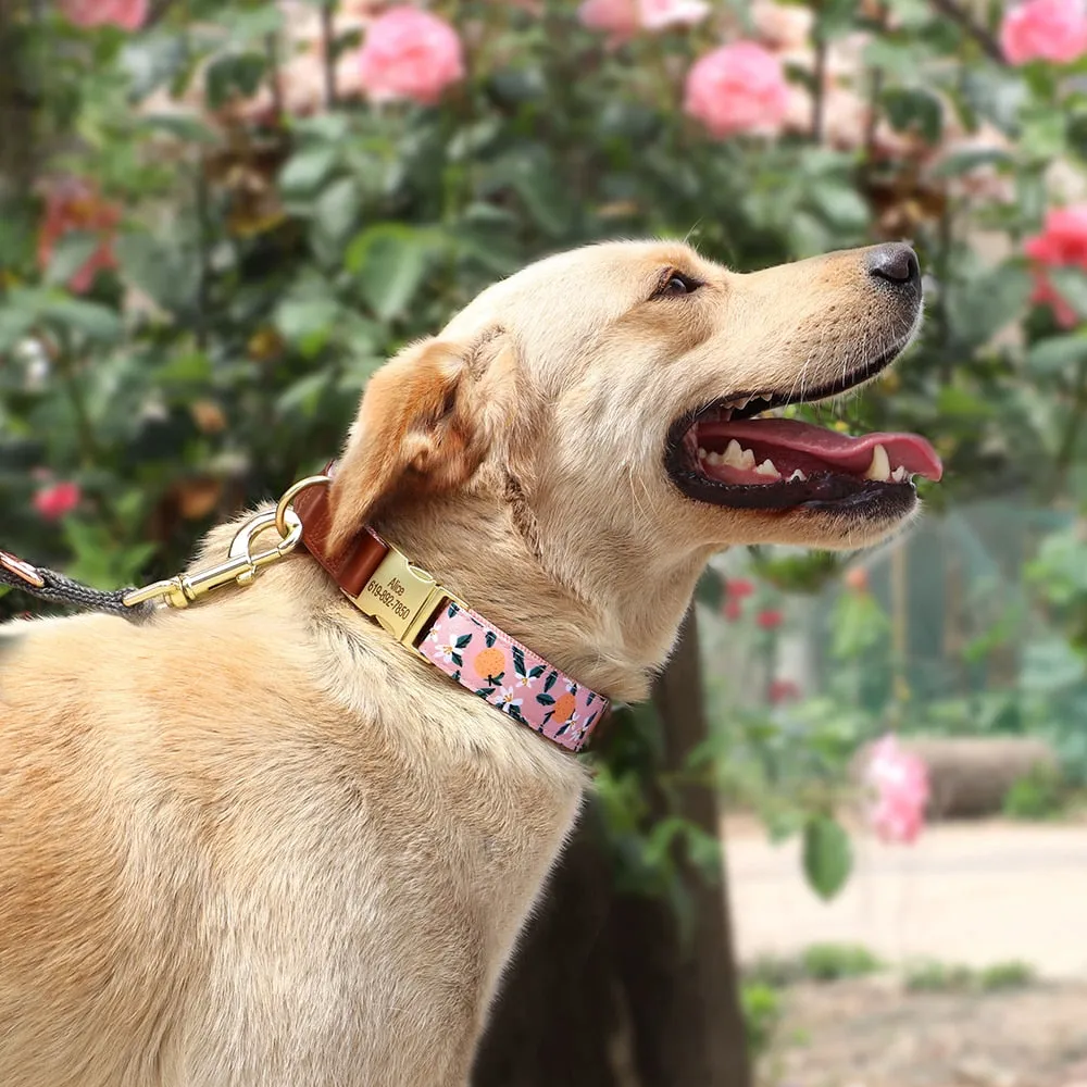 Shades Of PU Leather Collars: Personalized