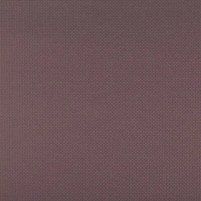 Sidney-Eggplant
