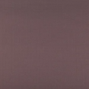 Sidney-Eggplant